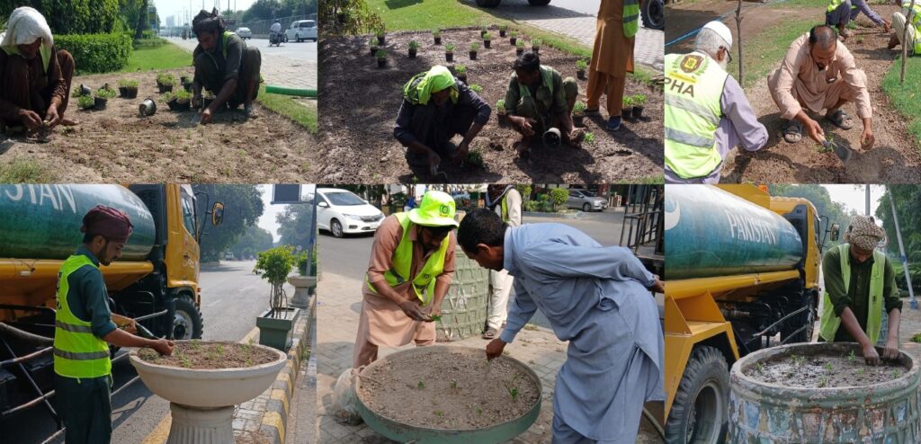 موسم سرما سے قبل پی ایچ اے کا شہر کو پھولوں سے سجانے کا منصوبہ