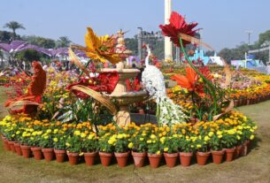 جیلانی پارک لاہور میں سالانہ گل داودی کی نمائش