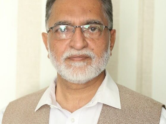 بلدیاتی ایکٹ کا ردعمل