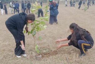 پی ایچ اے لاہور اور نجی سکول کے اشتراک سے شجر کاری مہم