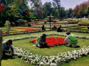 لاہور فلاور شو 2026 وزیر اعلیٰ پنجاب مریم نواز کے وژن کے تحت شاندار پھولوں کی نمائش کی تیاریاں عروج پر