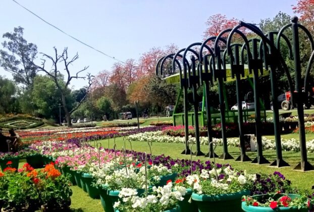 لاہور فلاور شو 2026: وزیر اعلیٰ پنجاب مریم نواز کے وژن کے تحت شاندار پھولوں کی نمائش کی تیاریاں عروج پر